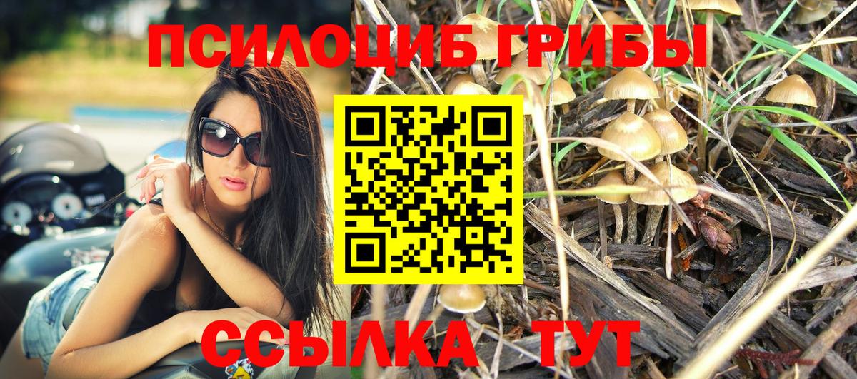 где можно купить   Псилоцибиновые грибы мухоморы  Вход с VPN  Лысьва 